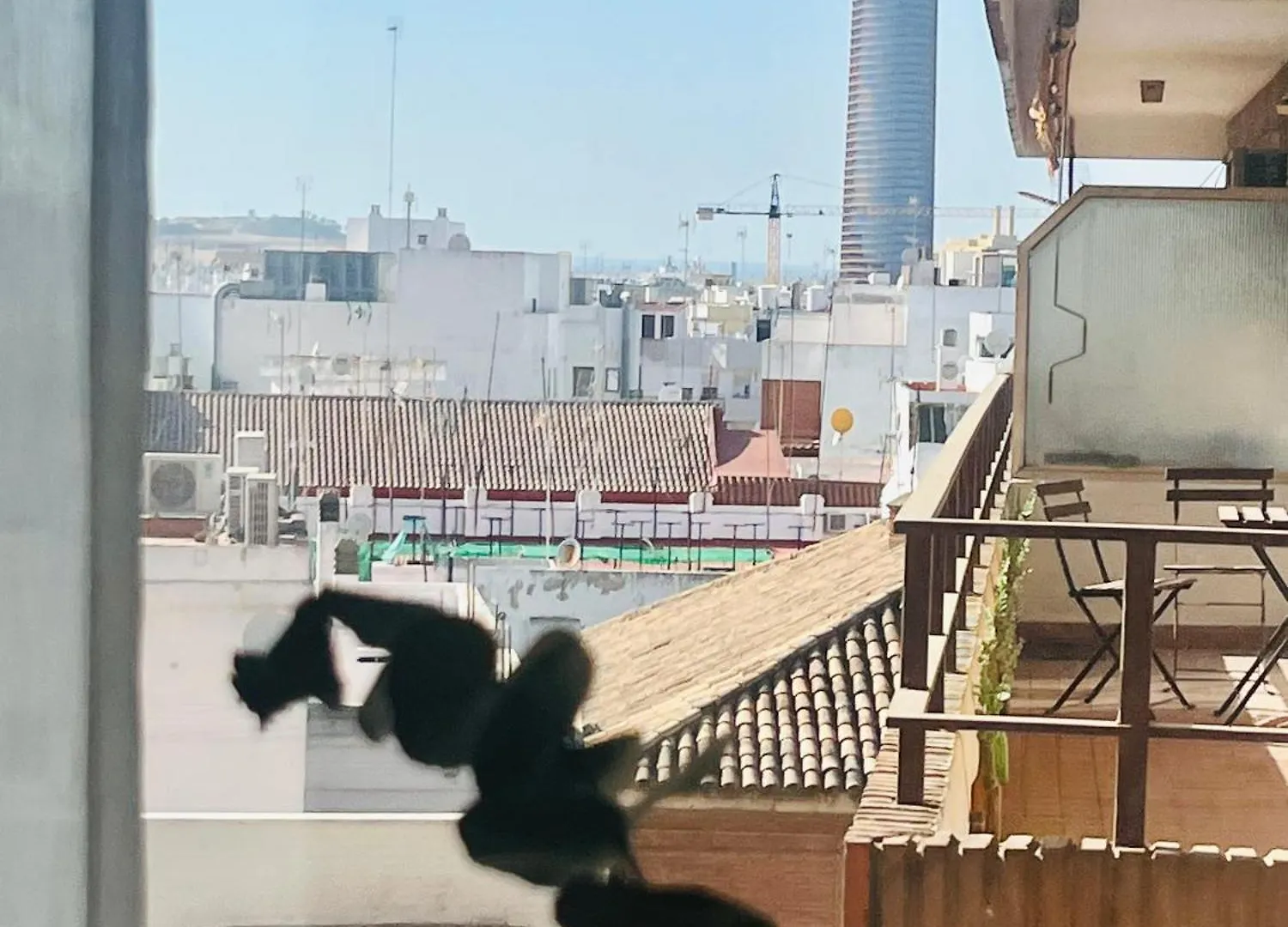 Triana In Hotel 24H Siviglia Spagna
